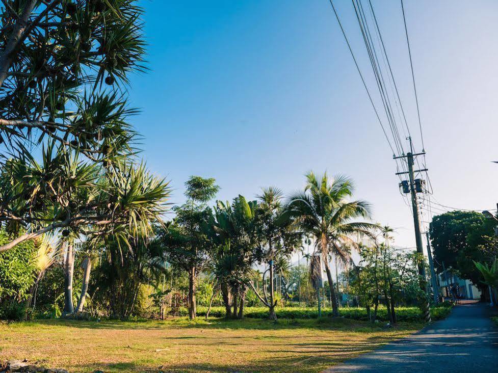 Palm Villa Guesthouse Nantou Exterior photo